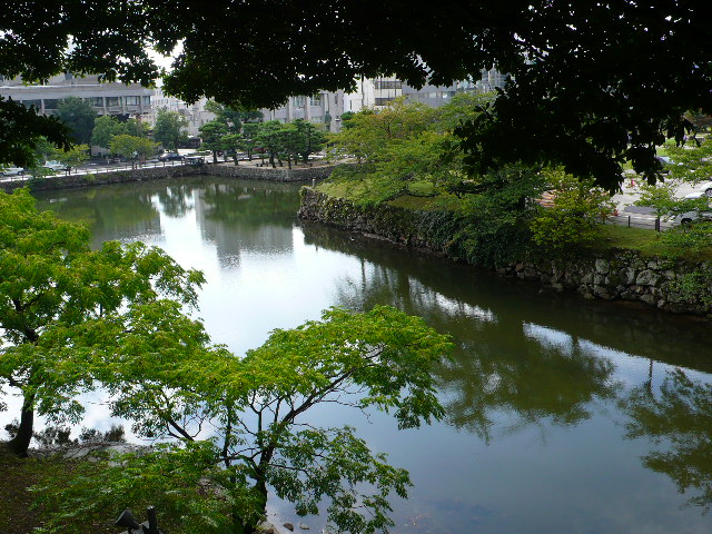 2008年8月　島根の 130.jpg
